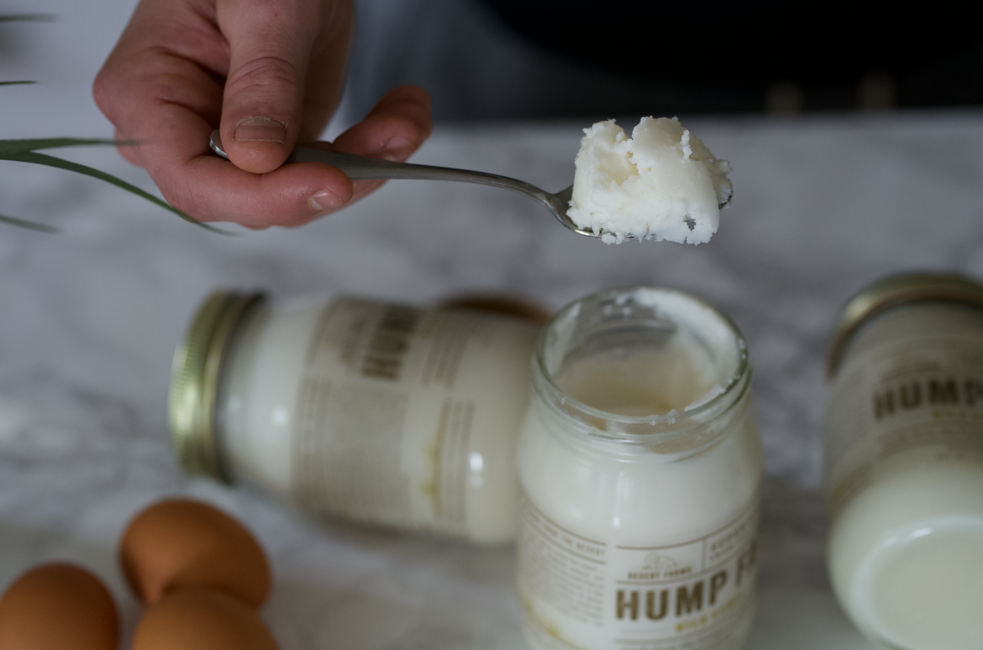 Hump Fat | Camel Milk