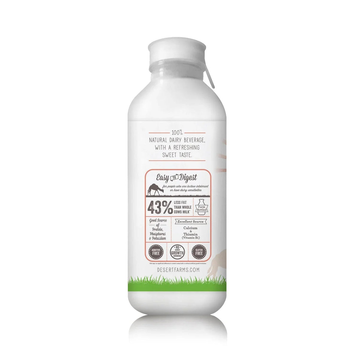 Camel Milk Kefir on a white background