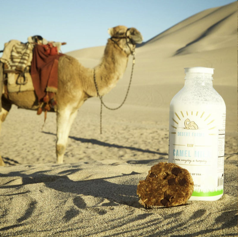 Reason section image